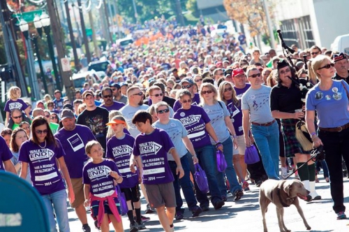 Purple sea of Walkers