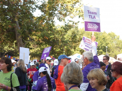 Team Signs