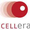 acCELLerate GmbH 221