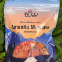 Wild Forest Herbs 548