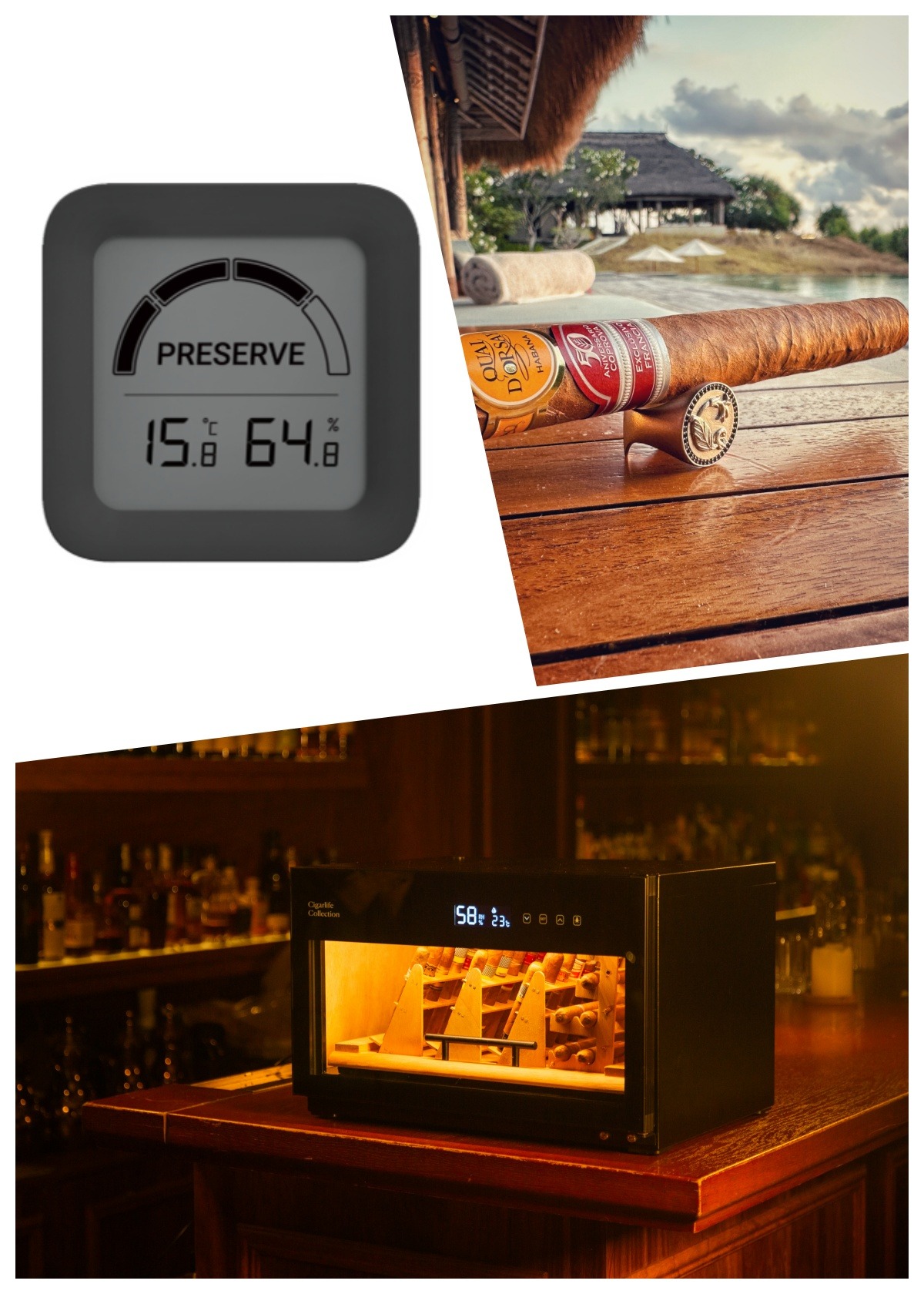 Professional & Gentlemanly cigar smoker 162