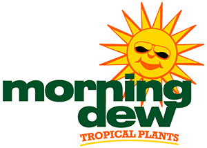 Morning_Dew_Logo_New