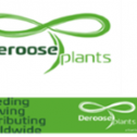 Deroose Plants, Inc. 373