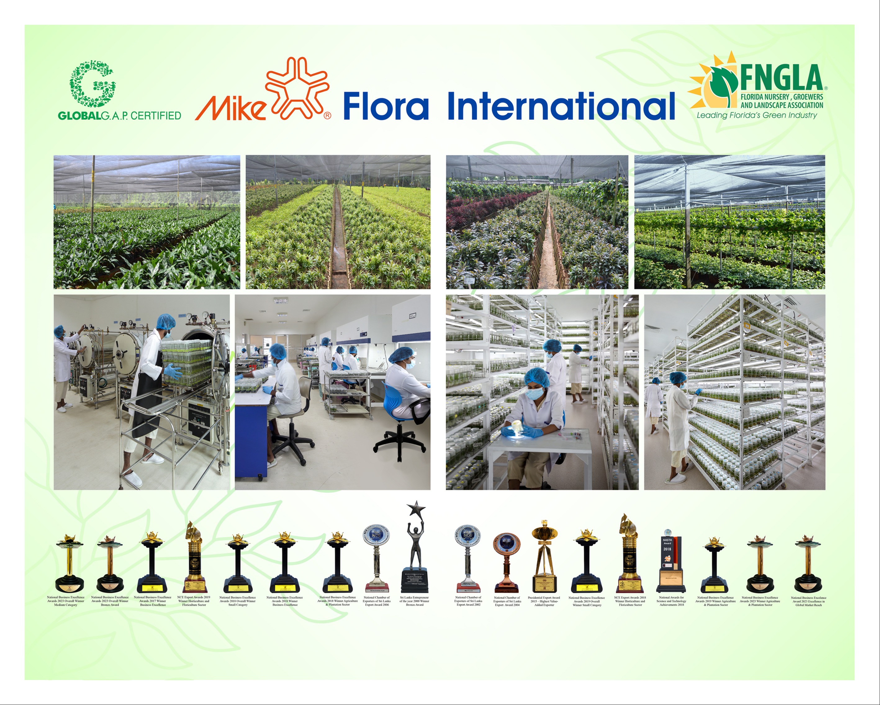 Mike Flora International Product List for 2024 95