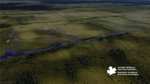 Canadian Peat: A Sustainable Growing Medium for Future Generations I Education Session 183