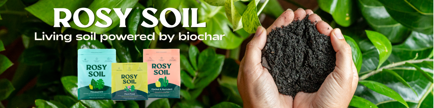 Rosy Soil 173