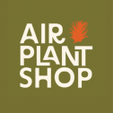 Air Plant Shop 315