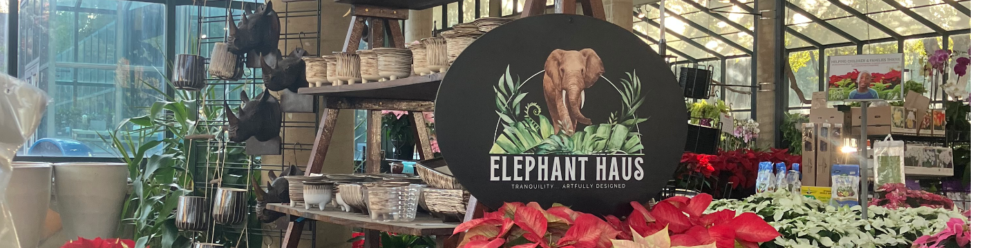 Elephant Haus by Jungle Jack’s 446