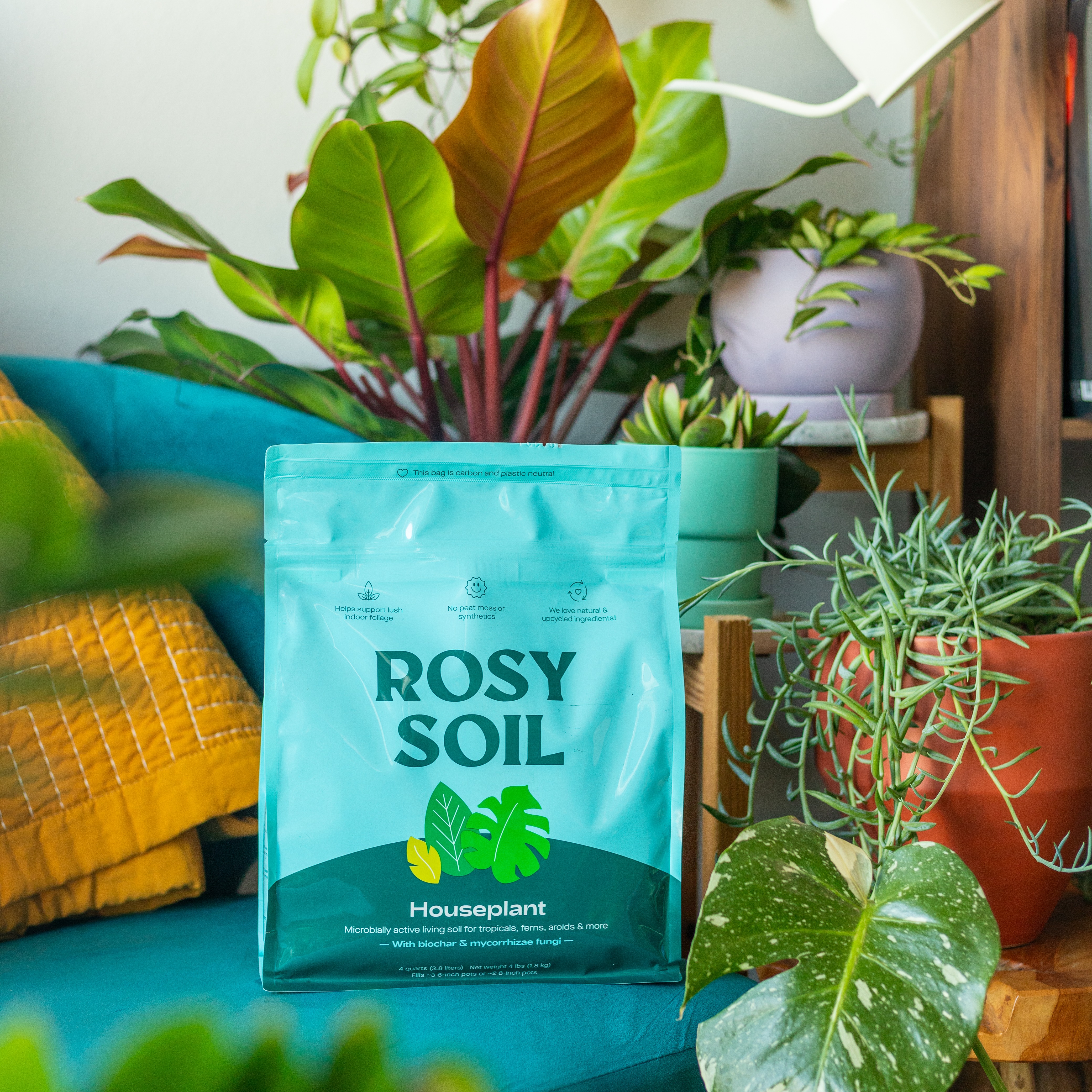 Houseplant Soil 4qt 118