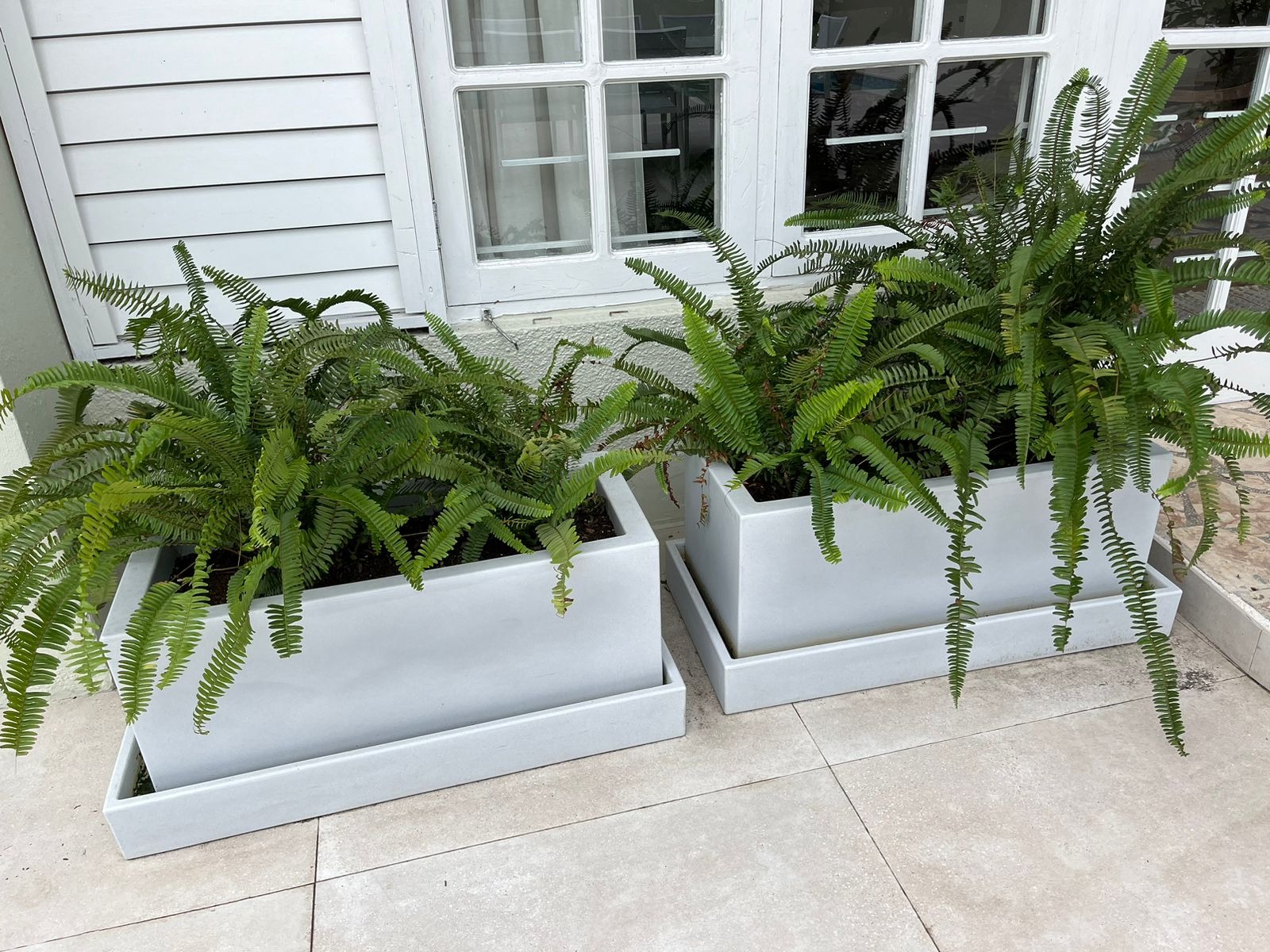 Island Planters  - Plant Pots 44