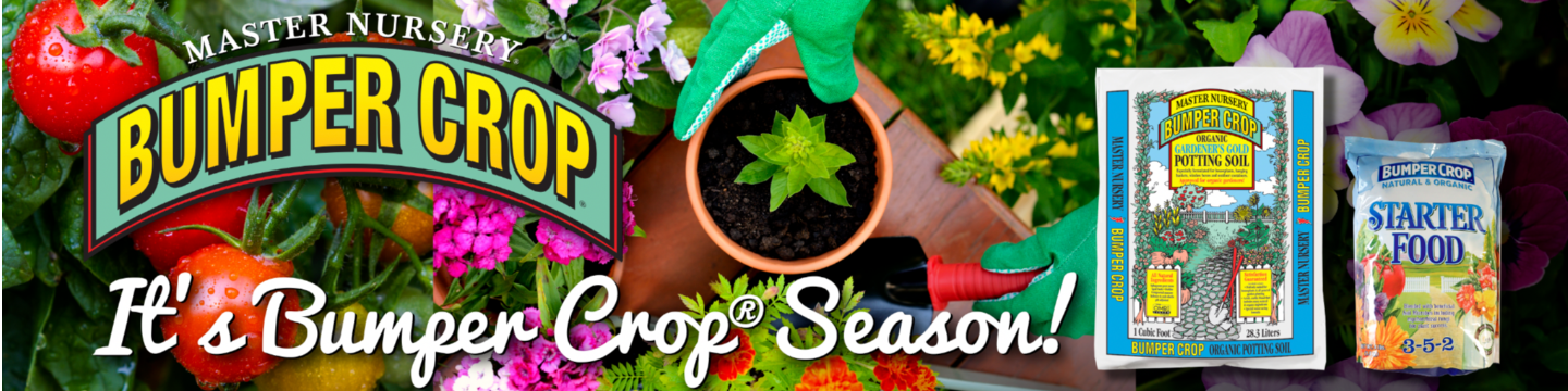 Master Nursery Garden Centers 180