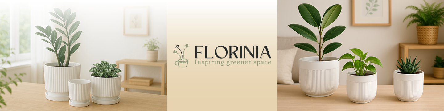 Florinia Inc. 233