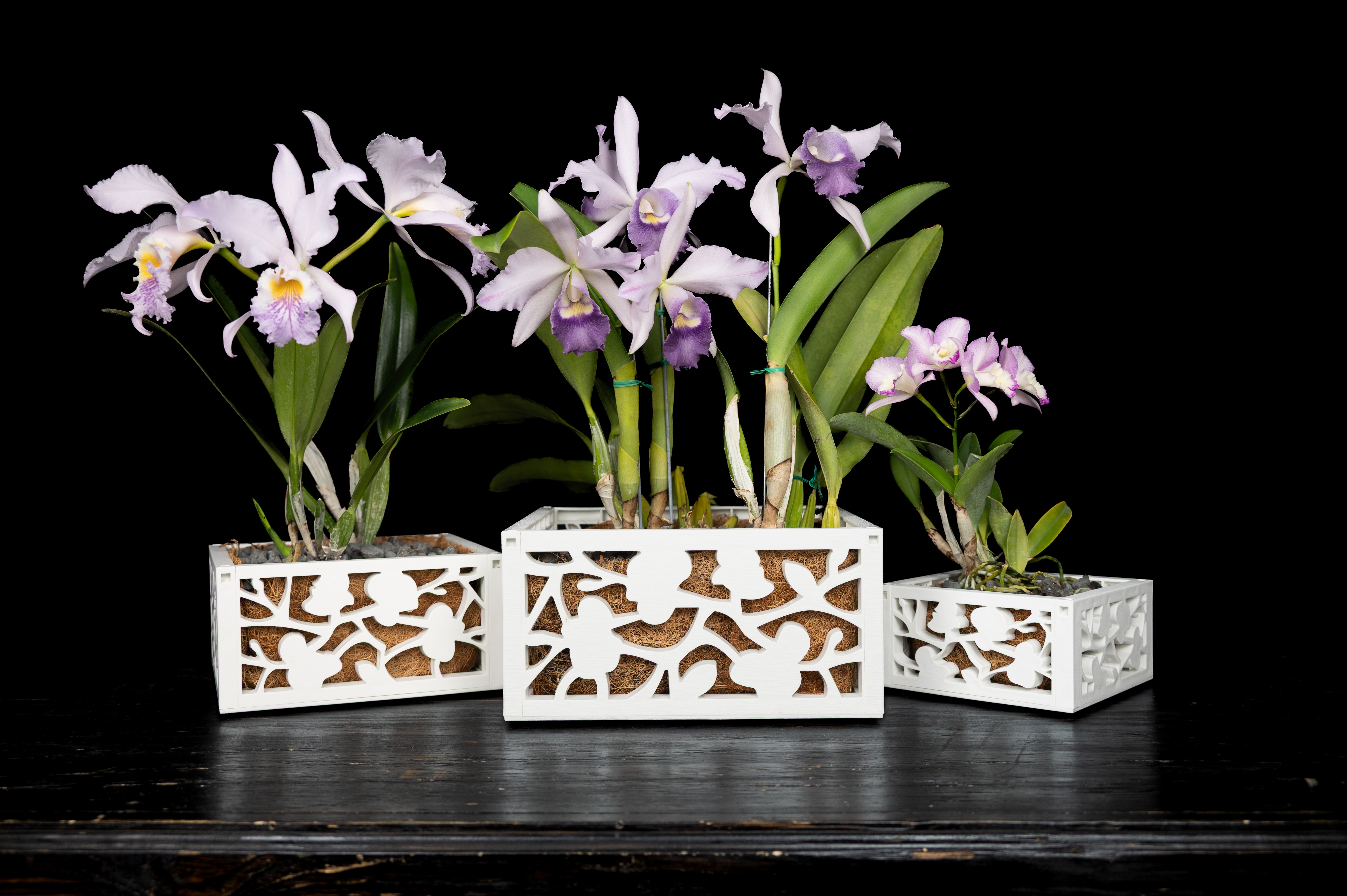 100% Recycled Orchid Baskets 102