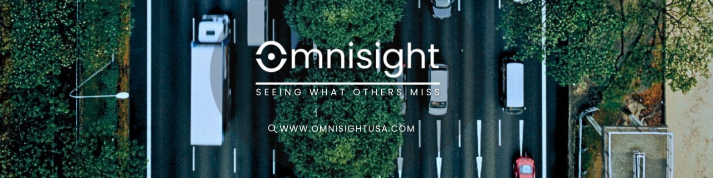 Omnisight Inc. 79