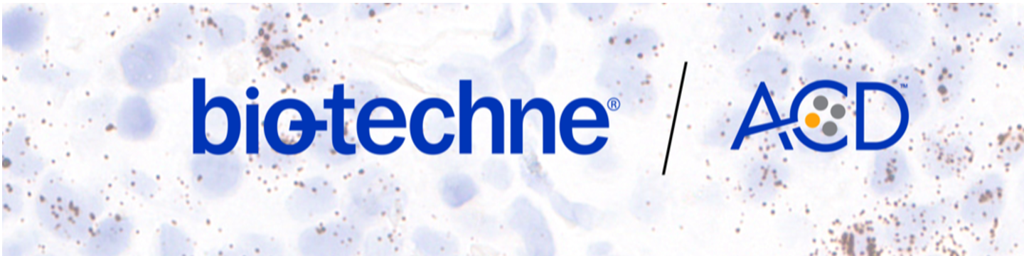 ACD, Bio-Techne 26