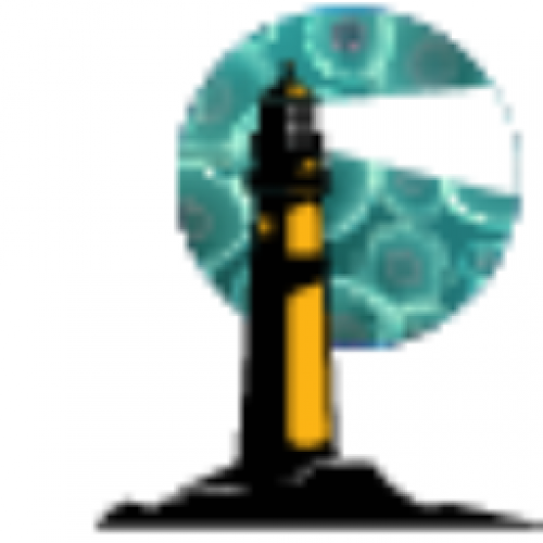 MUSE Microscopy, Inc. 28