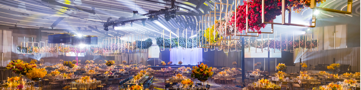 Professional Audio Designs + Talaske 102