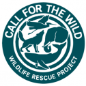 Call For The Wild 509