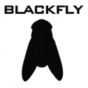 BlackFly Customs 87