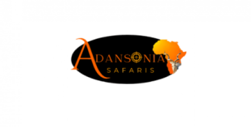 ADANSONIA SAFARIS 96