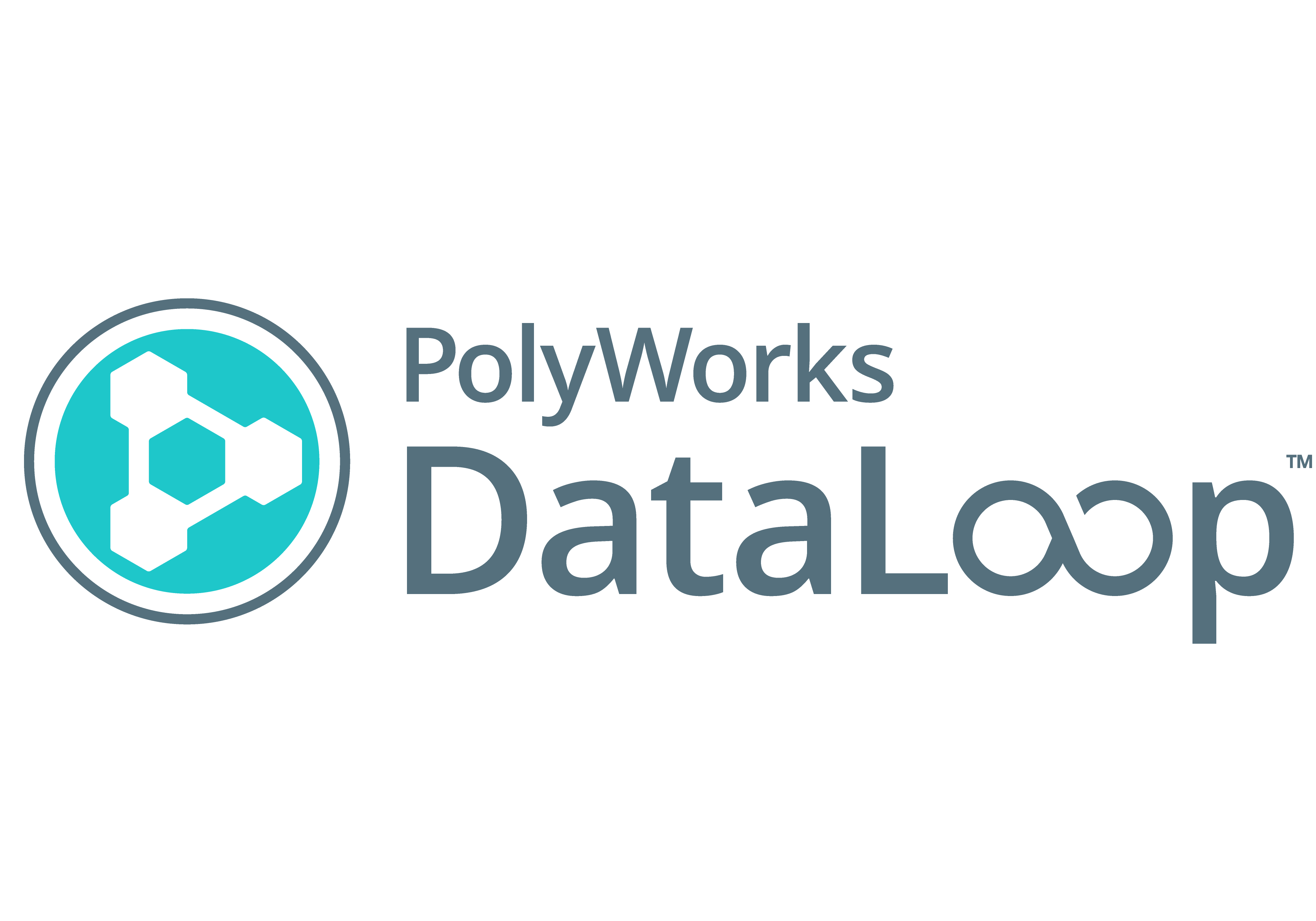 PolyWorks|DataLoop™ 51