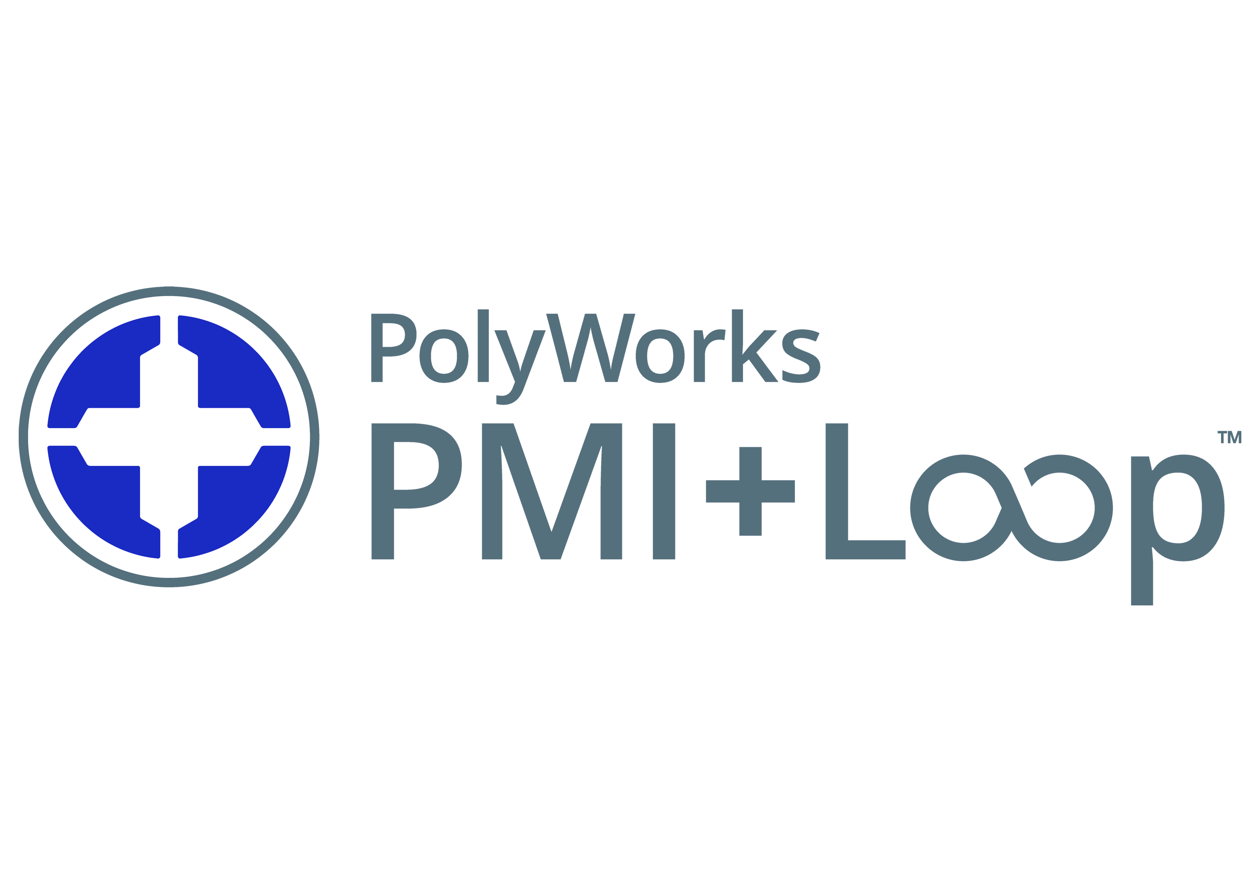 PolyWorks|PMI+Loop™ 52