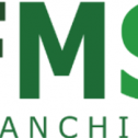 FMS Franchise 196