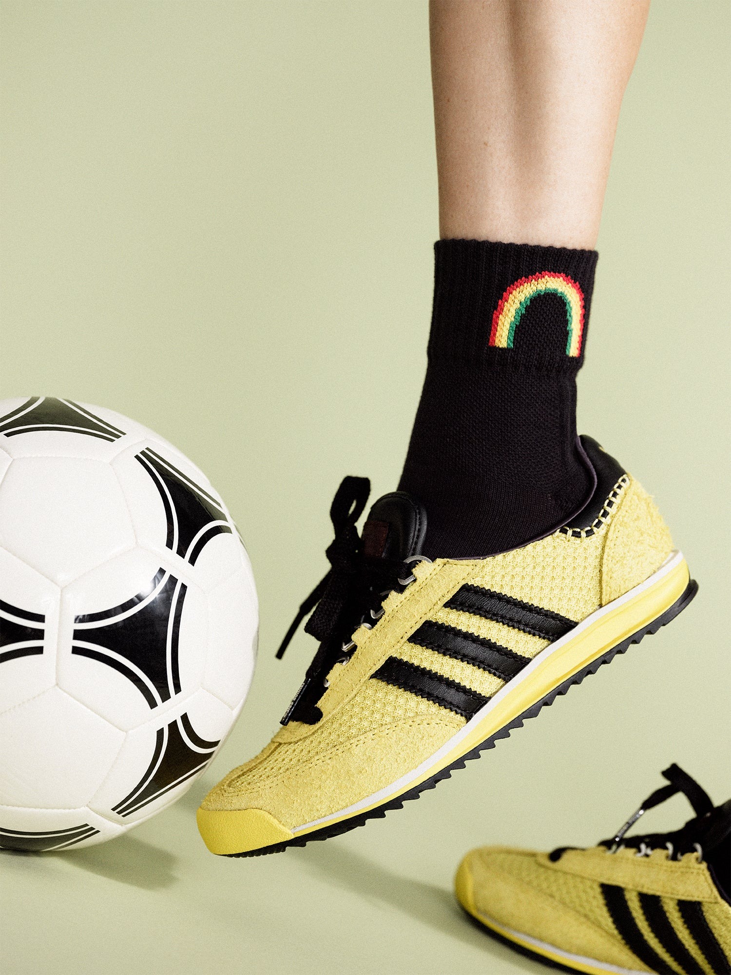 Free Socks For Instructors 204