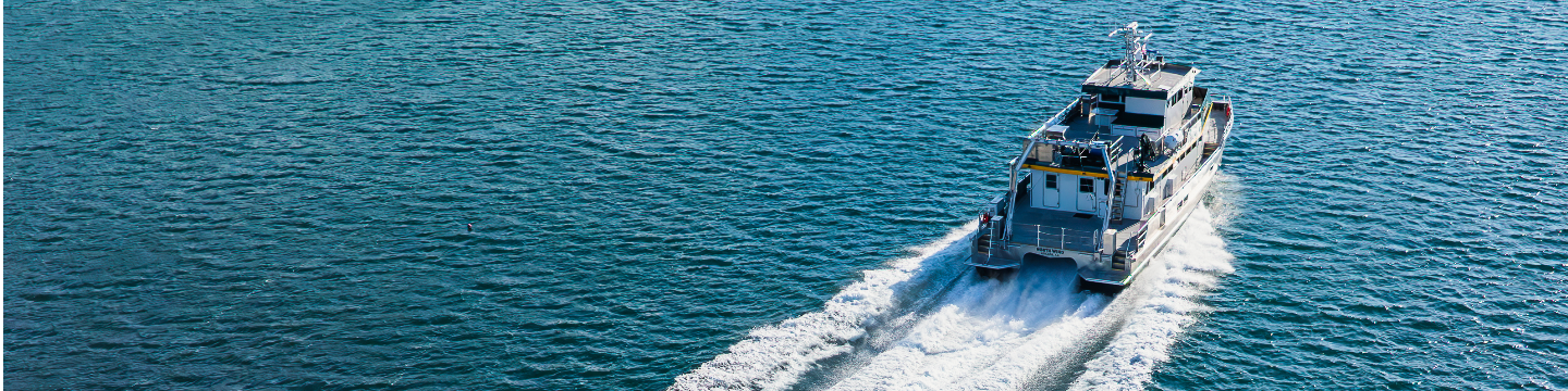 All American Marine 538