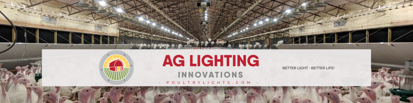 AG Lighting Innovations 342