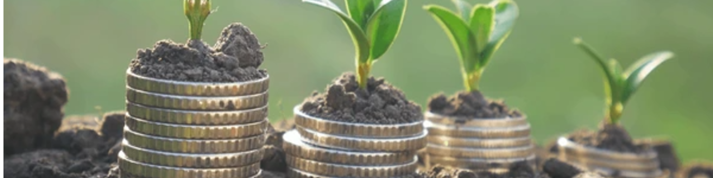 Mutual Agricultural Software Alliance 55