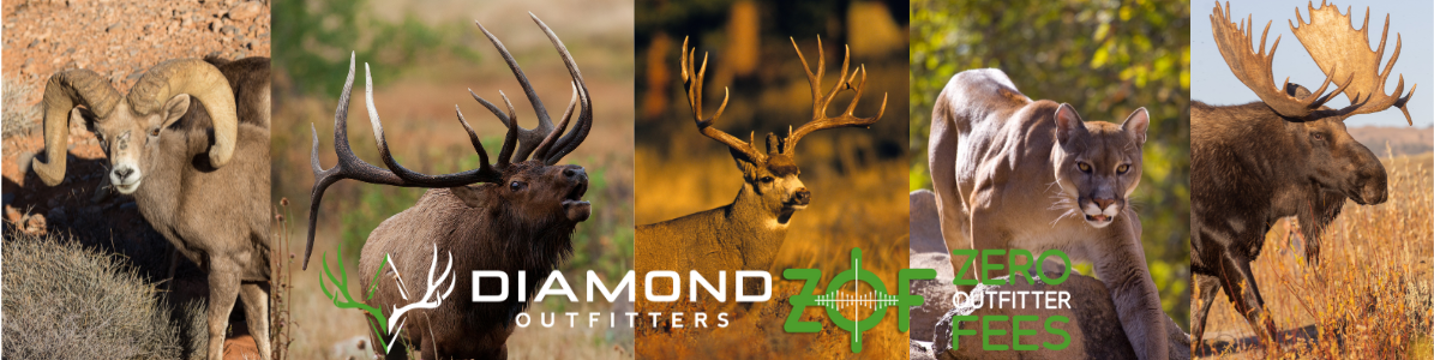 Diamond Outfitters -Zero Outfitter Fees 144