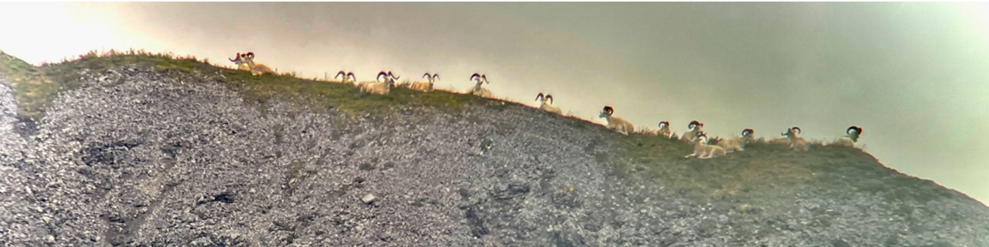 RAVEN'S THROAT OUTFITTERS 380