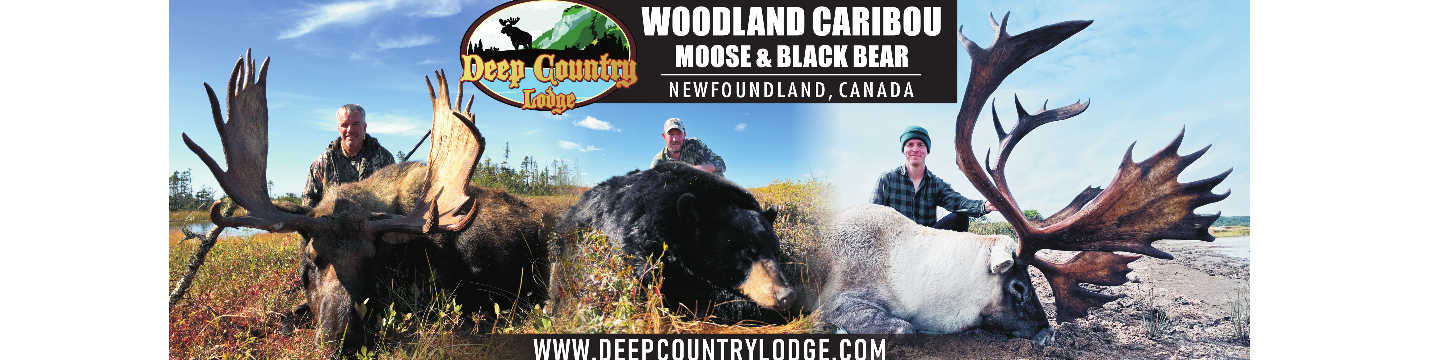 Deep Country Lodge 61