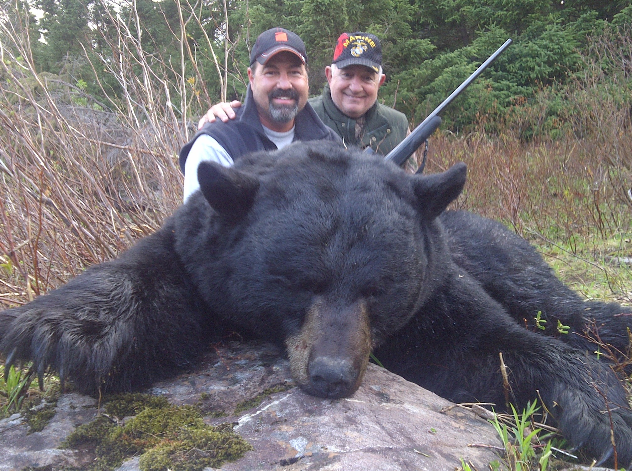 Spring Black Bear Hunt Newfoundland Canada 56
