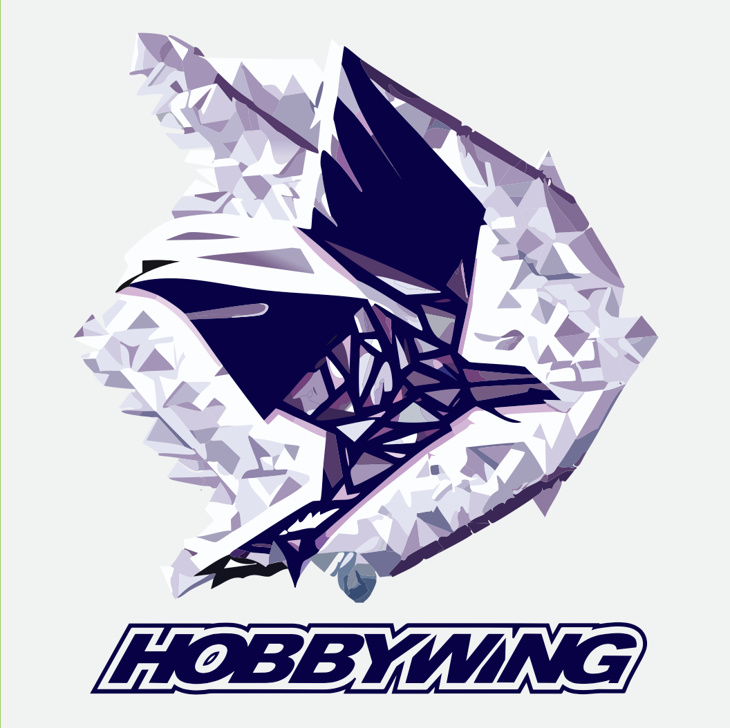 Receive HOBBYWING goodies 674