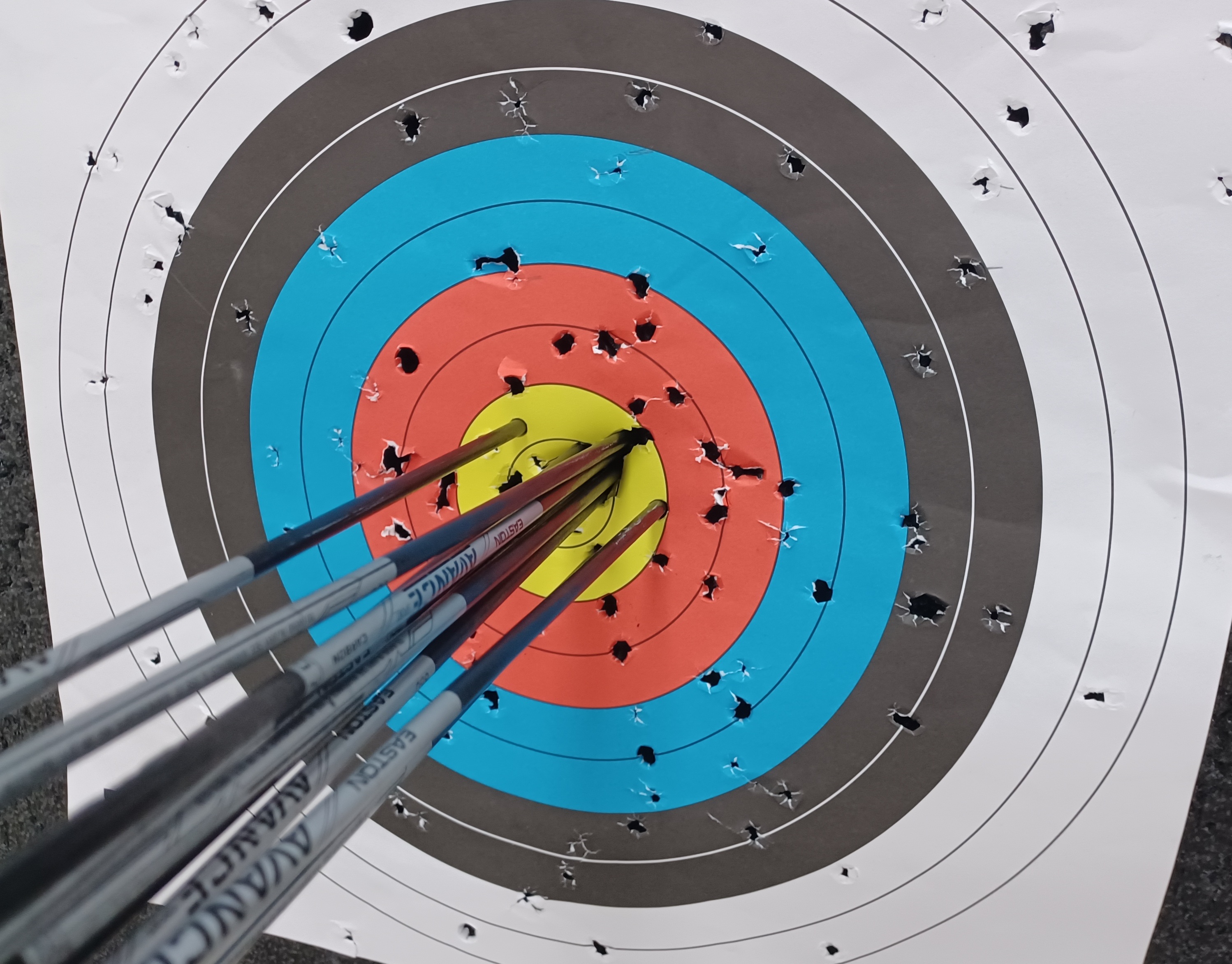 Yale Club of Austin Archery 271